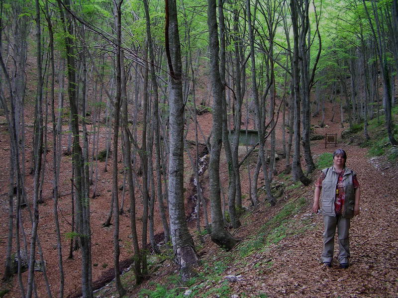 Ritrovamenti in Abruzzo